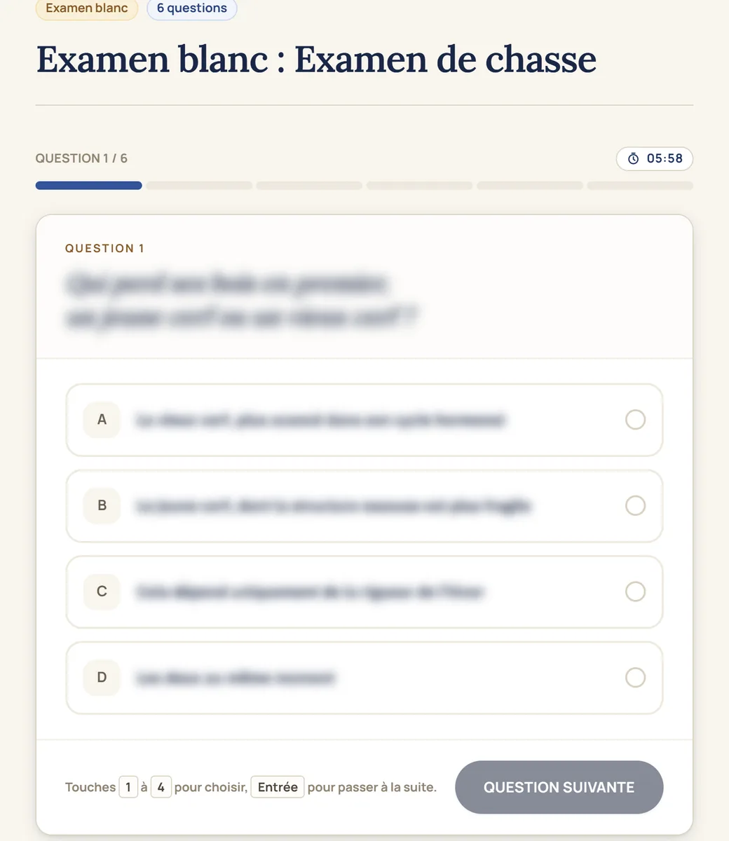 Examen blanc Accadia : question 1 sur 6 sur le cerf élaphe, quatre propositions et chronomètre