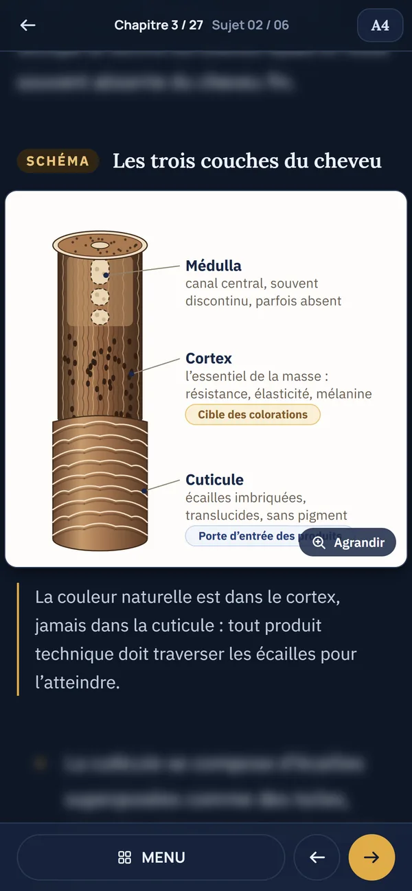 Encadré L'essentiel d'un chapitre Accadia sur mobile, avec le menu rapide en bas de l'écran