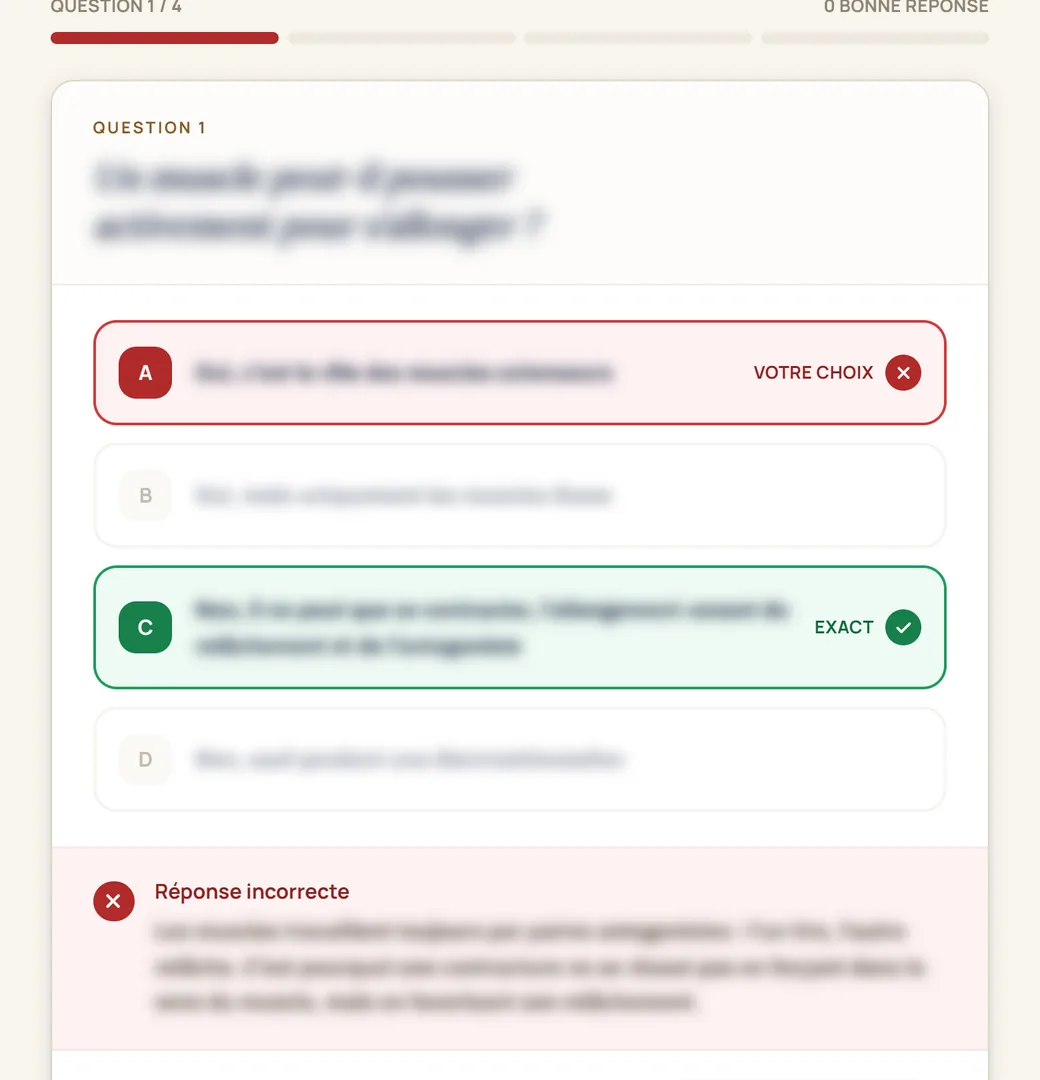 QCM Accadia : réponse A marquée Votre choix en rouge, bonne réponse C marquée Exact, explication de la correction